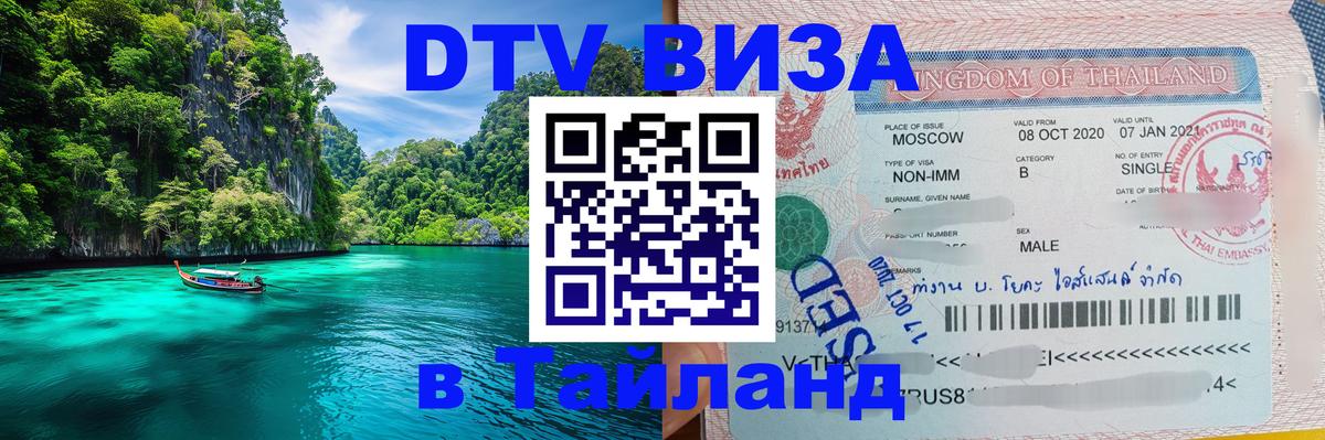 Оформление DTV визы под ключ: стоимость и тарифы, только загранпаспорт - Кишинёв 